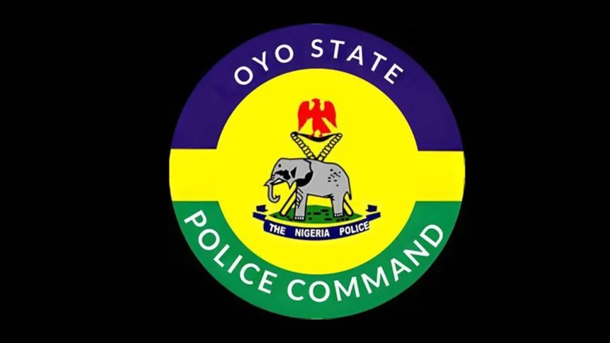Police Arrest Suspected Armed Robber, Land Grabber in Ibadan