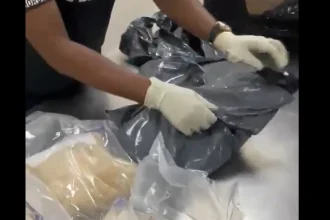 NDLEA Seizes Drugs Hidden in Speakers, Bread Across States
